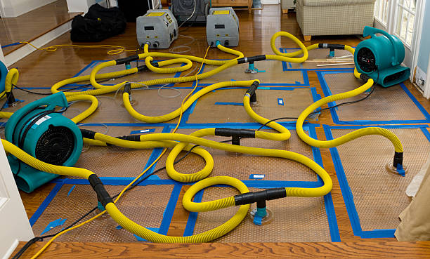Professional Emergency Water Removal technician working in Osage, WV