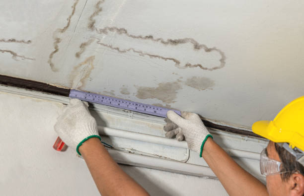 Affordable Water Damage Repair solutions in Osage, WV